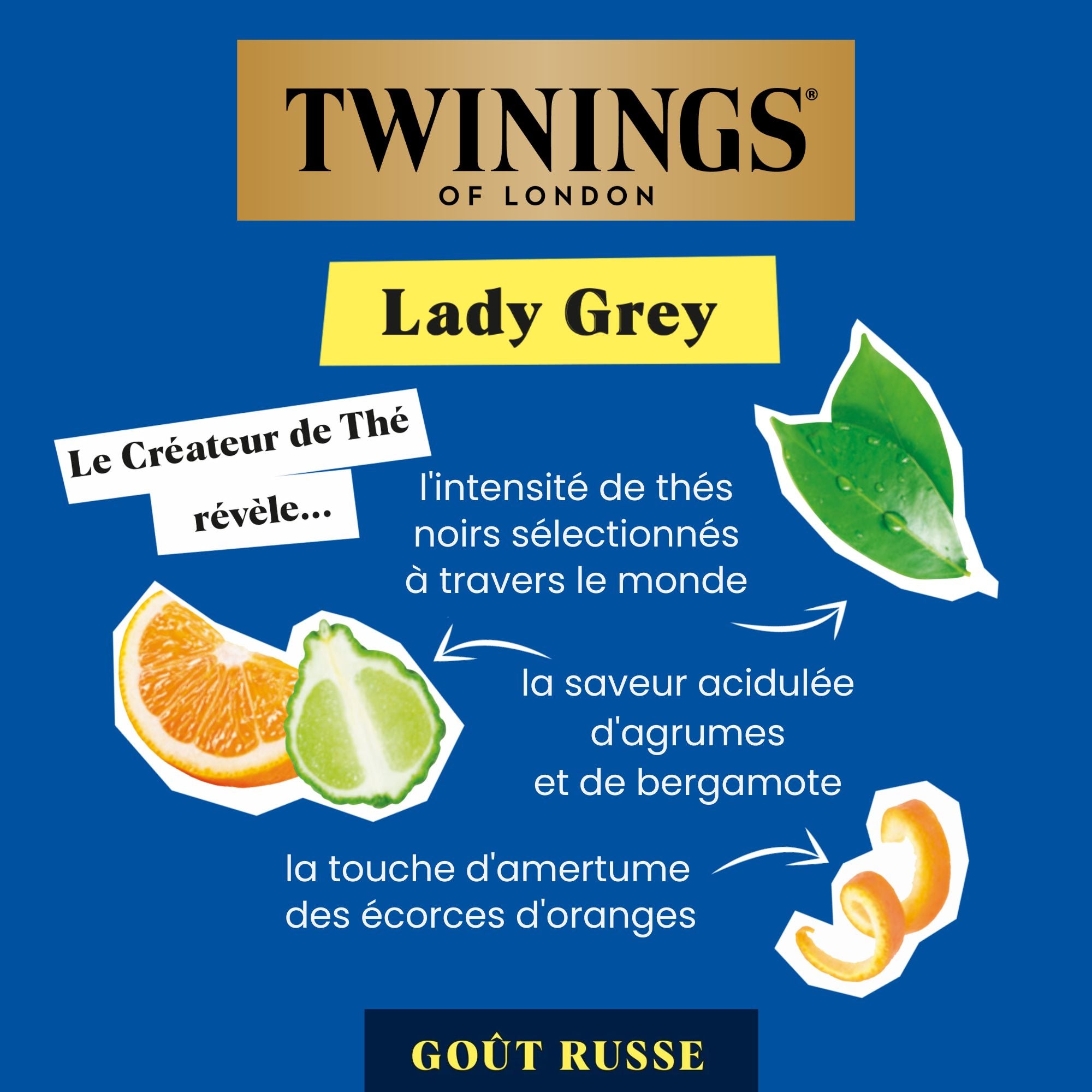 Thé Lady Grey