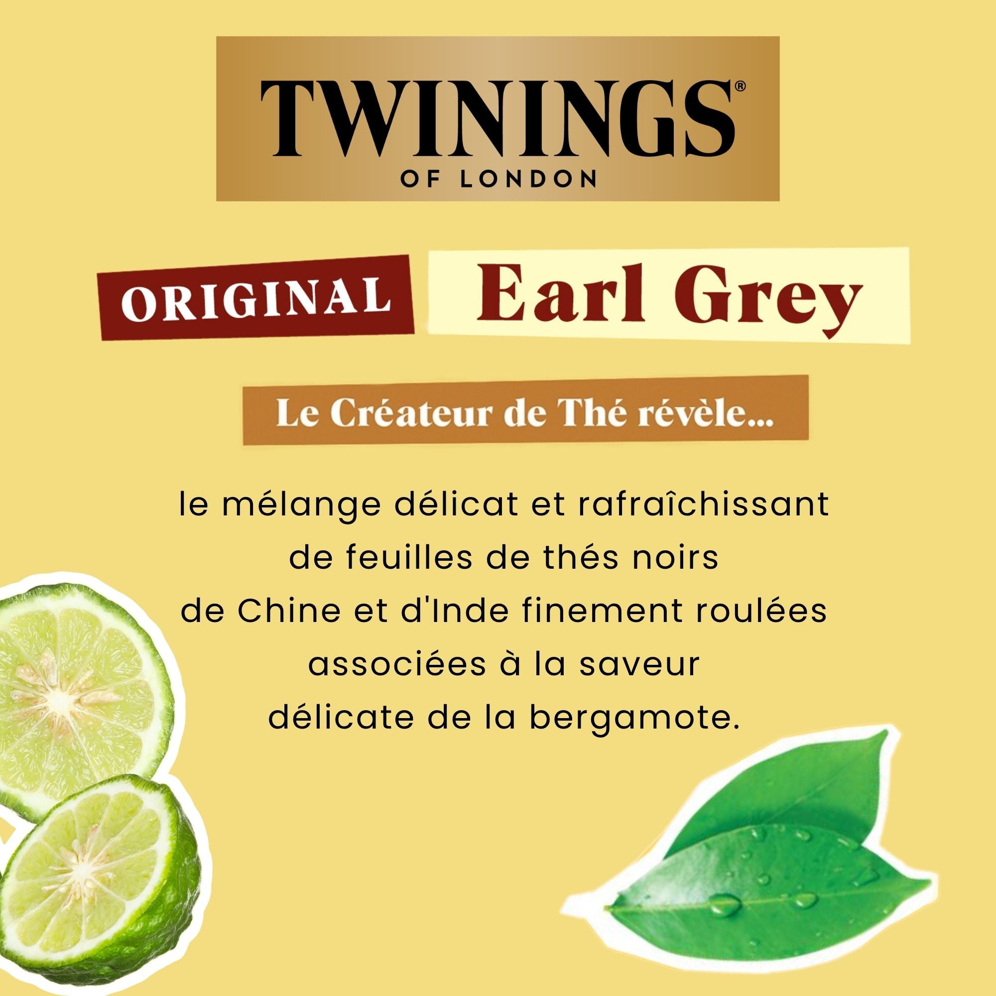 Thé en Vrac Original Earl Grey