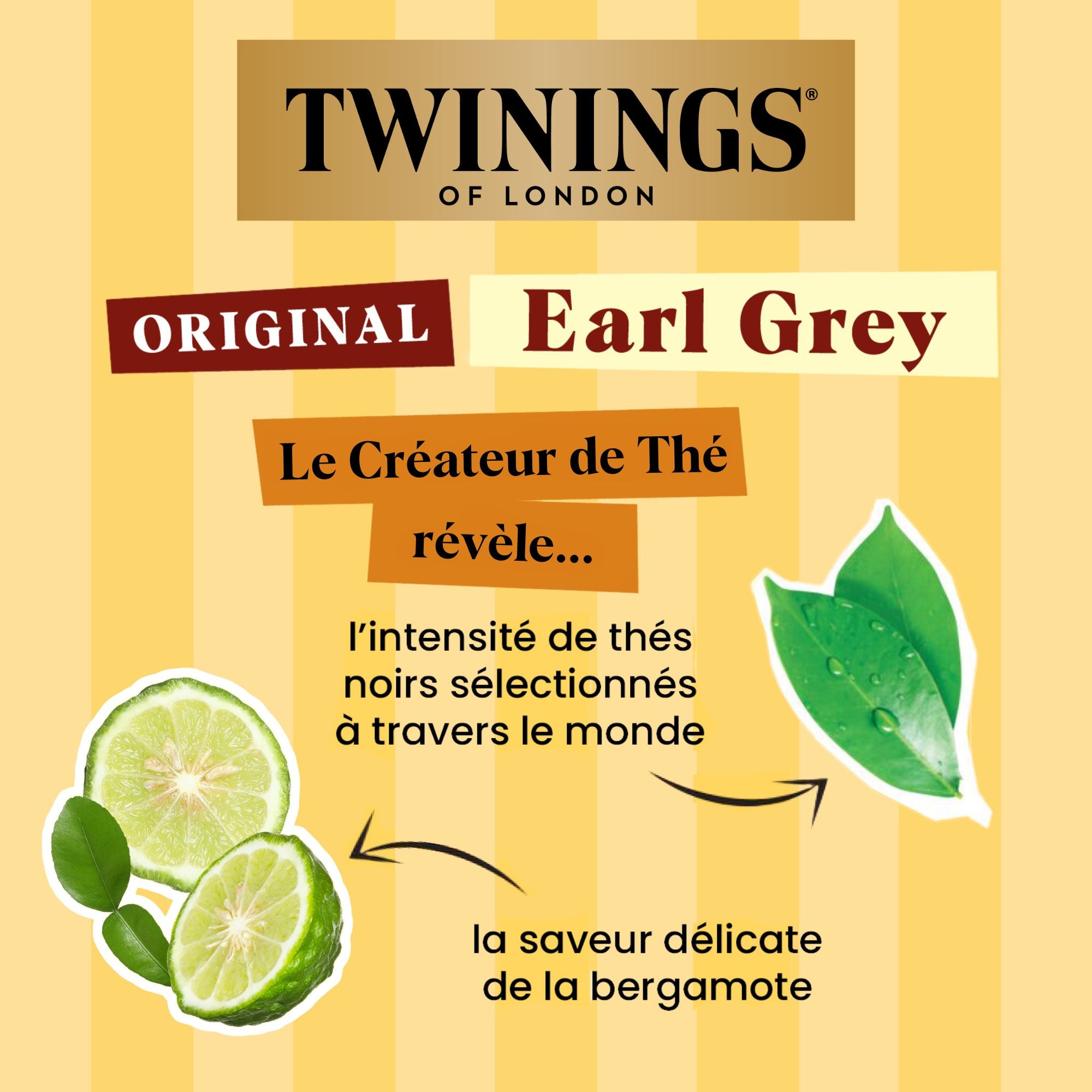 Thé Original Earl Grey