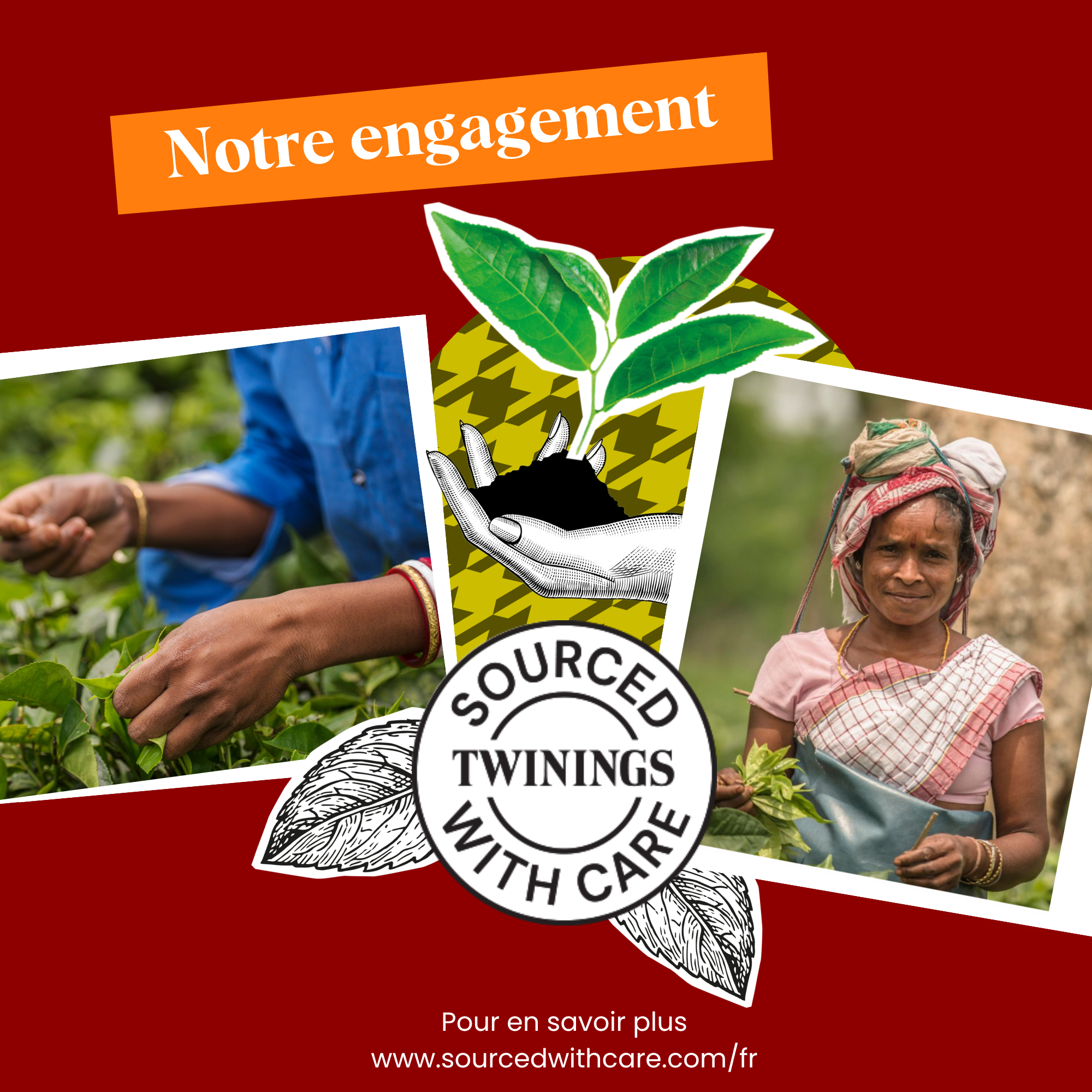 Thé Noir Saveur Orange Cannelle