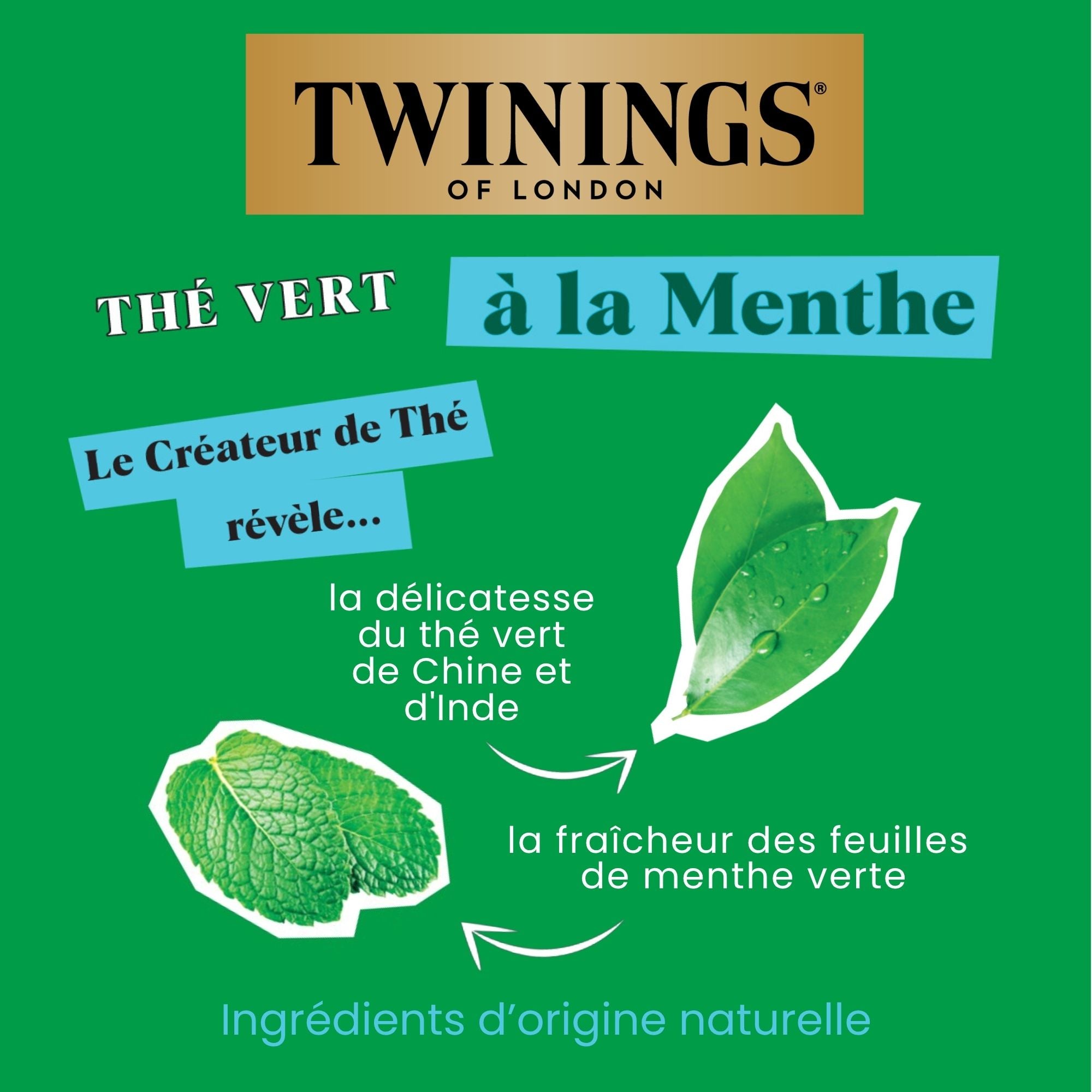 Thé Vert à la Menthe