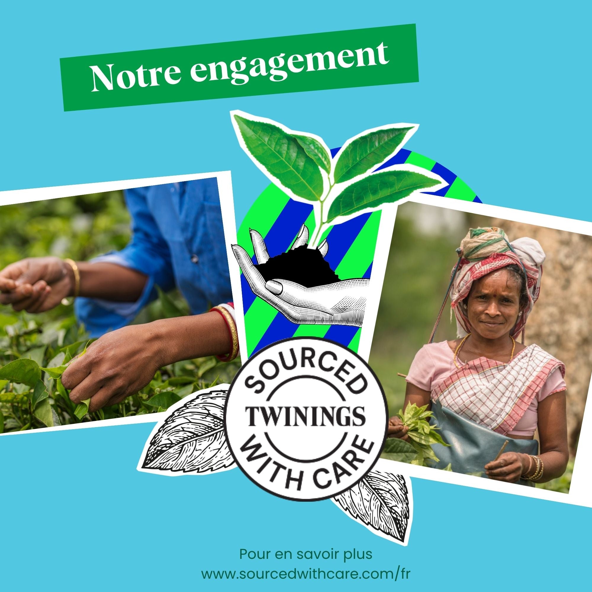 Thé Vert à la Menthe