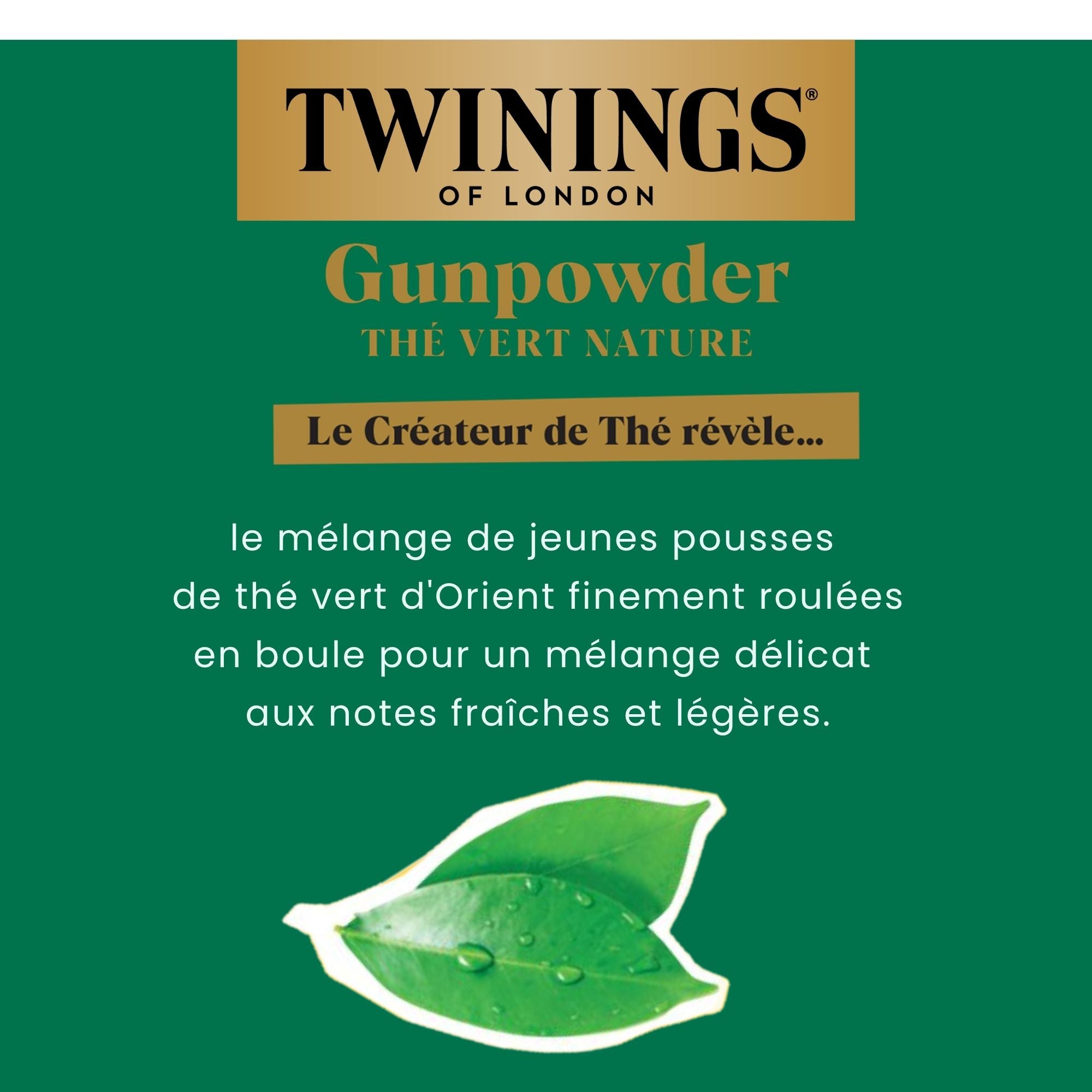 Thé Vert en Vrac Gunpowder Nature