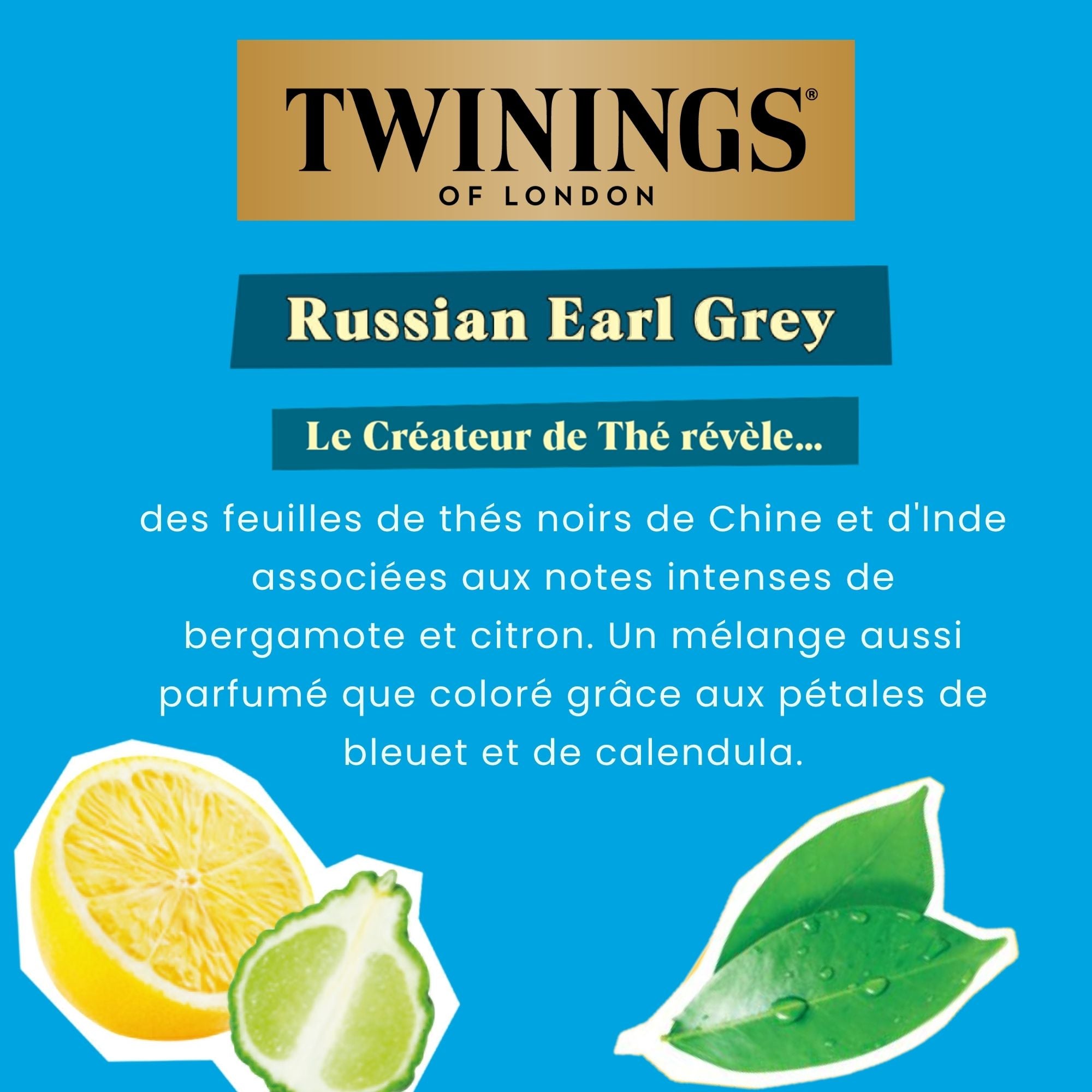 Thé en Vrac Russian Earl Grey