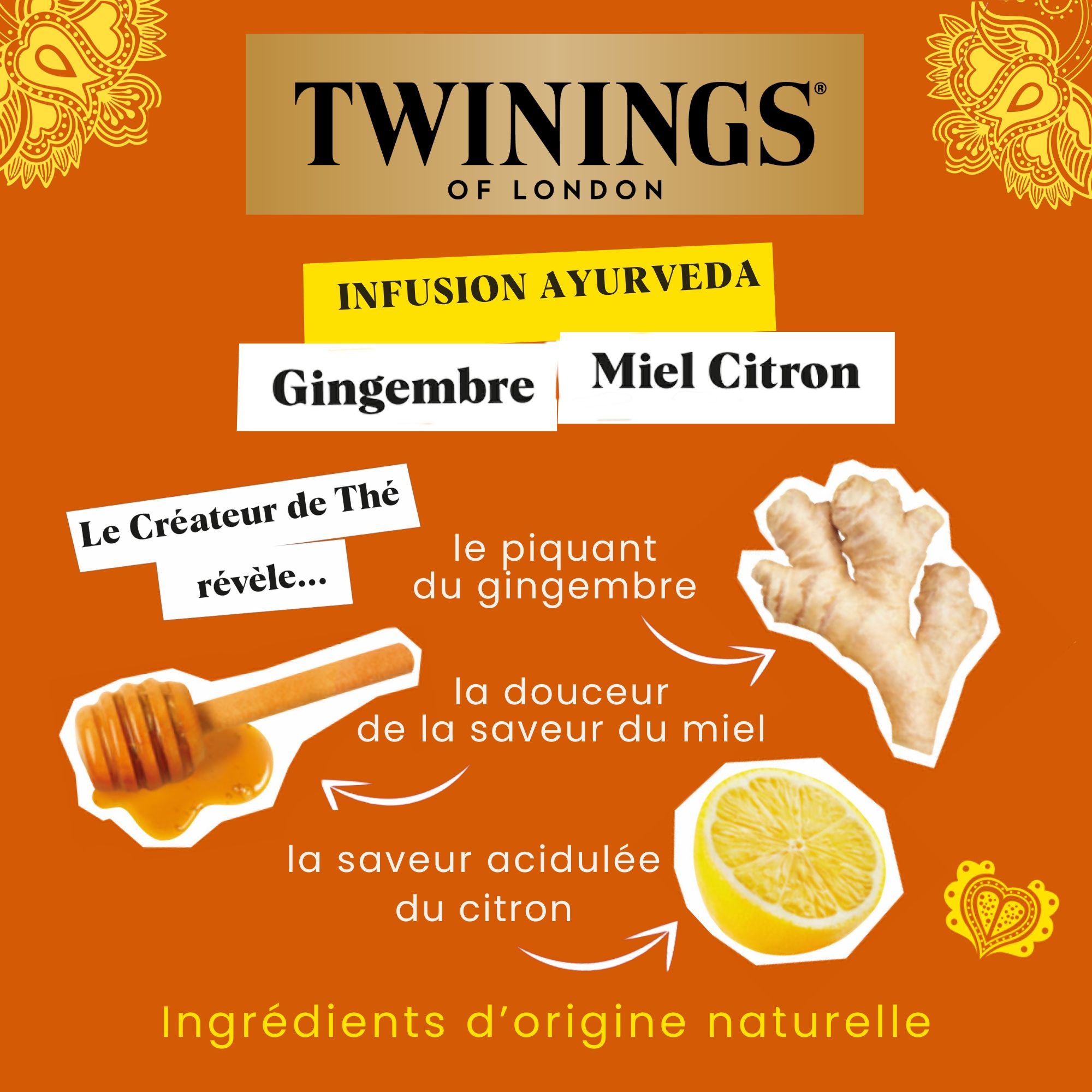 Infusion Ayurveda Gingembre Miel Citron