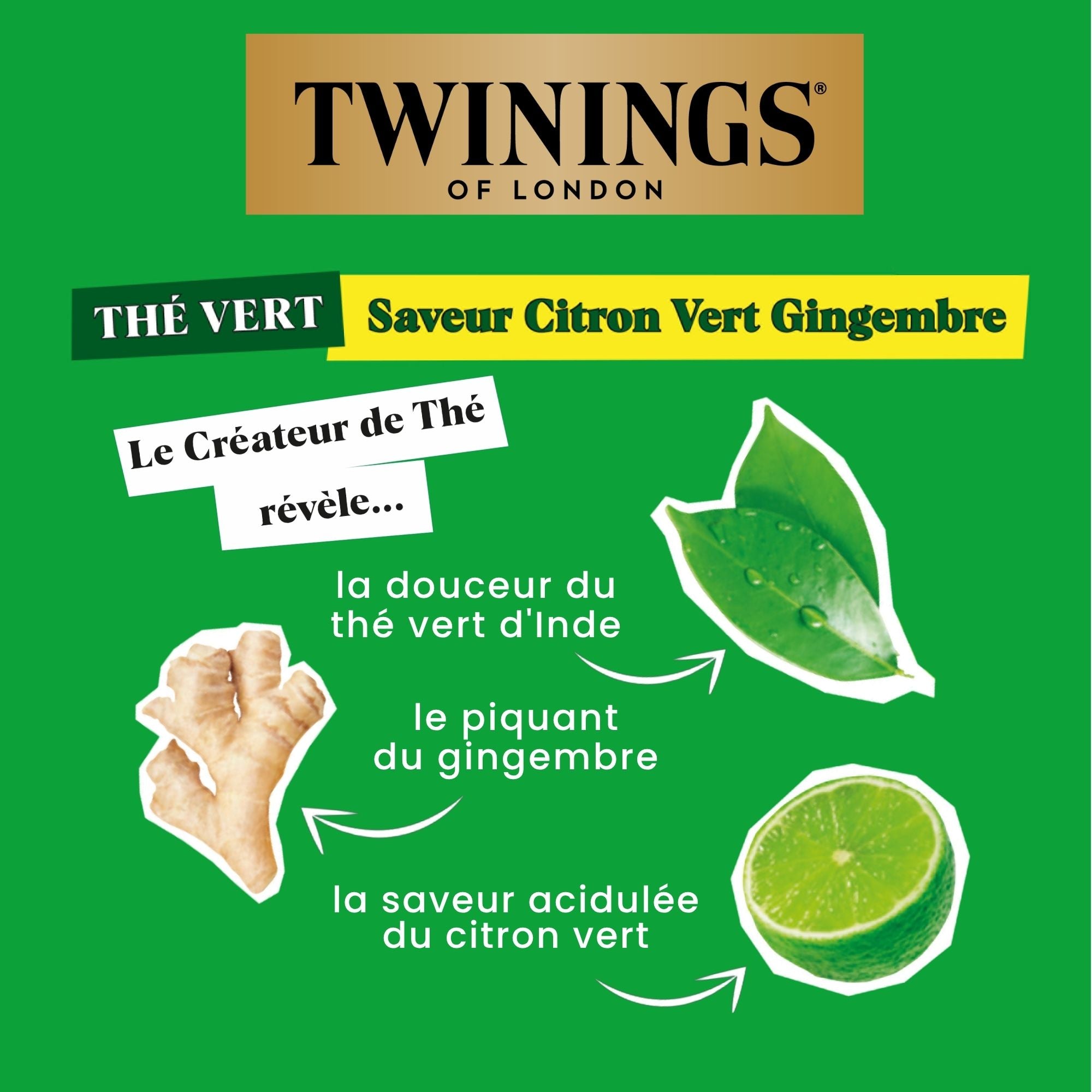 Thé Vert Saveur Citron Vert Gingembre