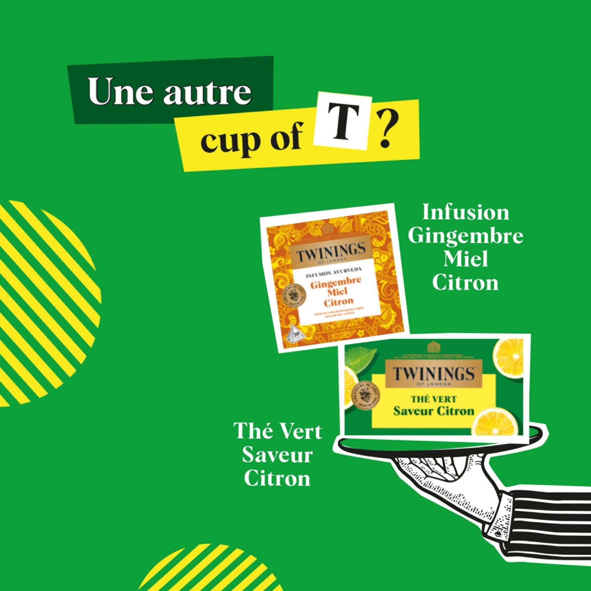 Thé Vert Saveur Citron Vert Gingembre