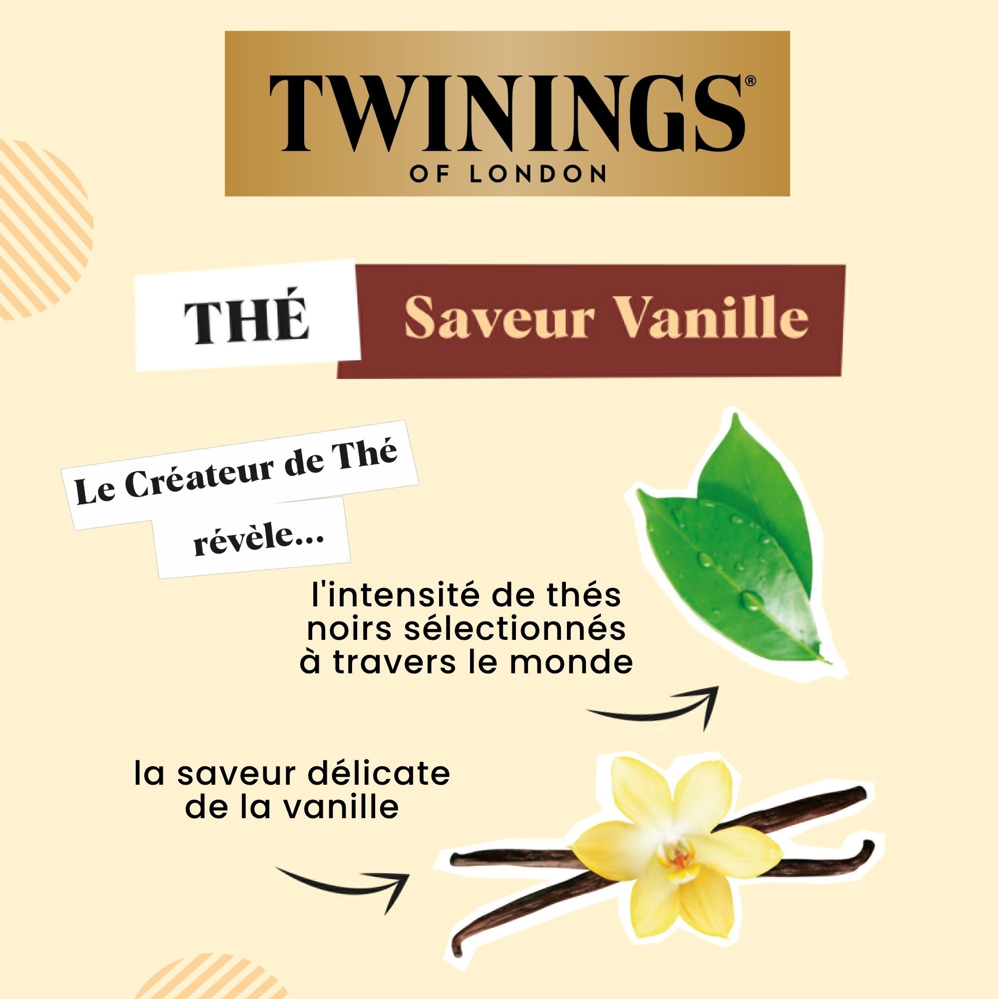 Thé Saveur Vanille
